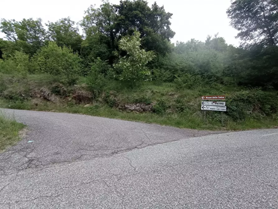 Immagine 13 di Terreno in vendita  in Via Perini a Badia Calavena