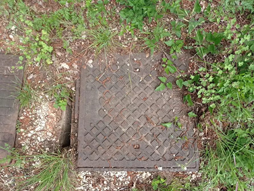 Immagine 15 di Terreno in vendita  in Via Perini a Badia Calavena