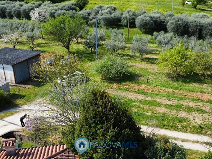 Immagine 37 di Casa indipendente in vendita  in Via Solana a Monselice