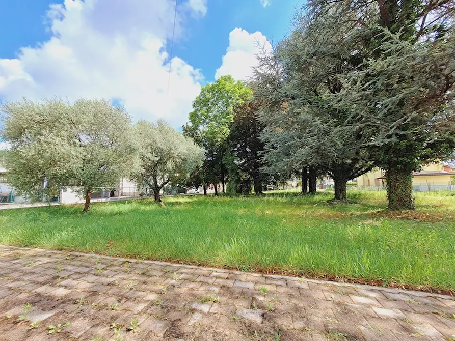 Immagine 14 di Villa in vendita  in via livel 73 a Cappella Maggiore