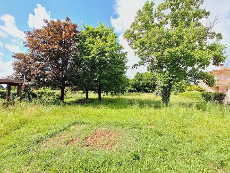 Immagine 15 di Villa in vendita  in via livel 73 a Cappella Maggiore