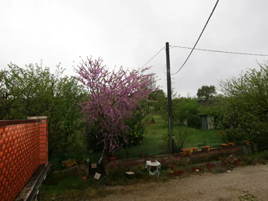Immagine 26 di Casa indipendente in vendita  a Foiano Della Chiana