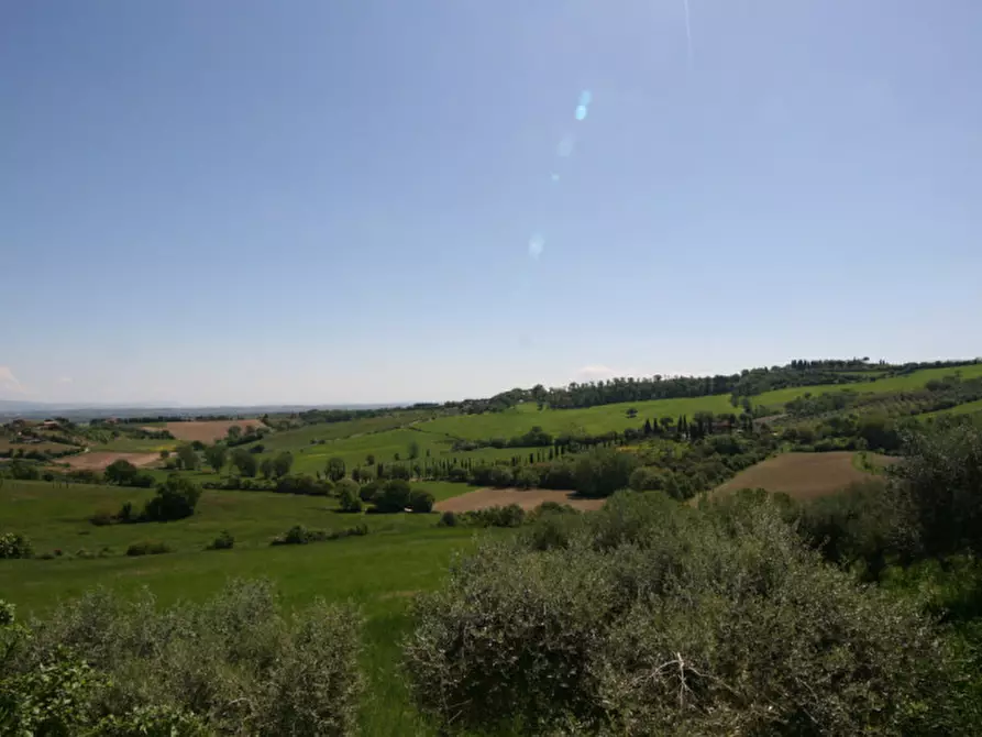 Immagine 14 di Appartamento in affitto  a Torrita Di Siena