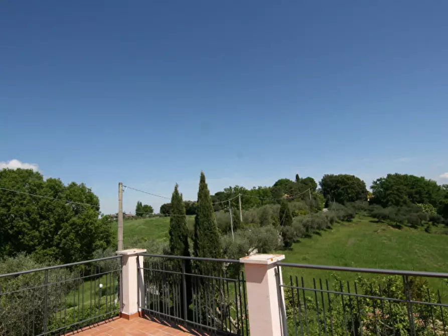 Immagine 16 di Appartamento in affitto  a Torrita Di Siena