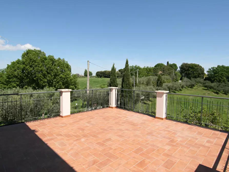 Immagine 19 di Appartamento in affitto  a Torrita Di Siena