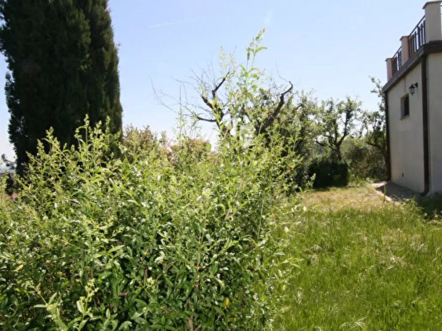 Immagine 23 di Appartamento in affitto  a Torrita Di Siena