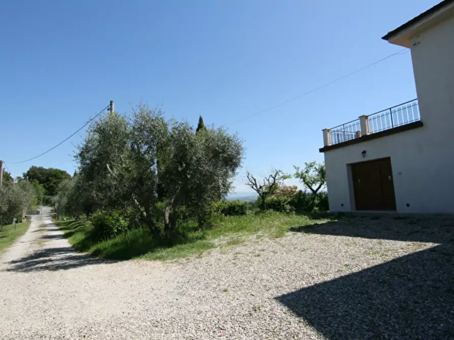 Immagine 27 di Appartamento in affitto  a Torrita Di Siena