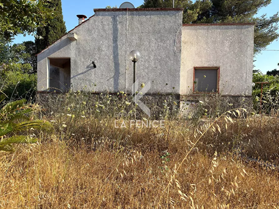 Immagine 3 di Villa in vendita  in strada pilozzo a Martina Franca
