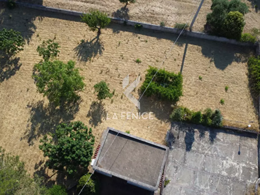 Immagine 43 di Villa in vendita  in strada pilozzo a Martina Franca