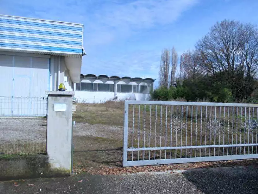 Immagine 3 di Capannone industriale in vendita  in Via Pacinotti, 117 a Pramaggiore