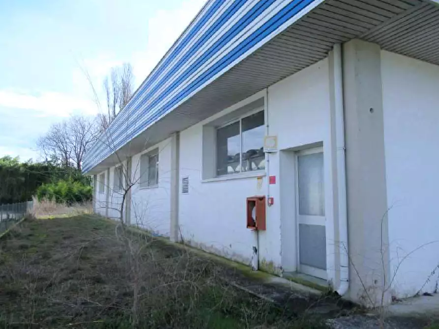 Immagine 4 di Capannone industriale in vendita  in Via Pacinotti, 117 a Pramaggiore