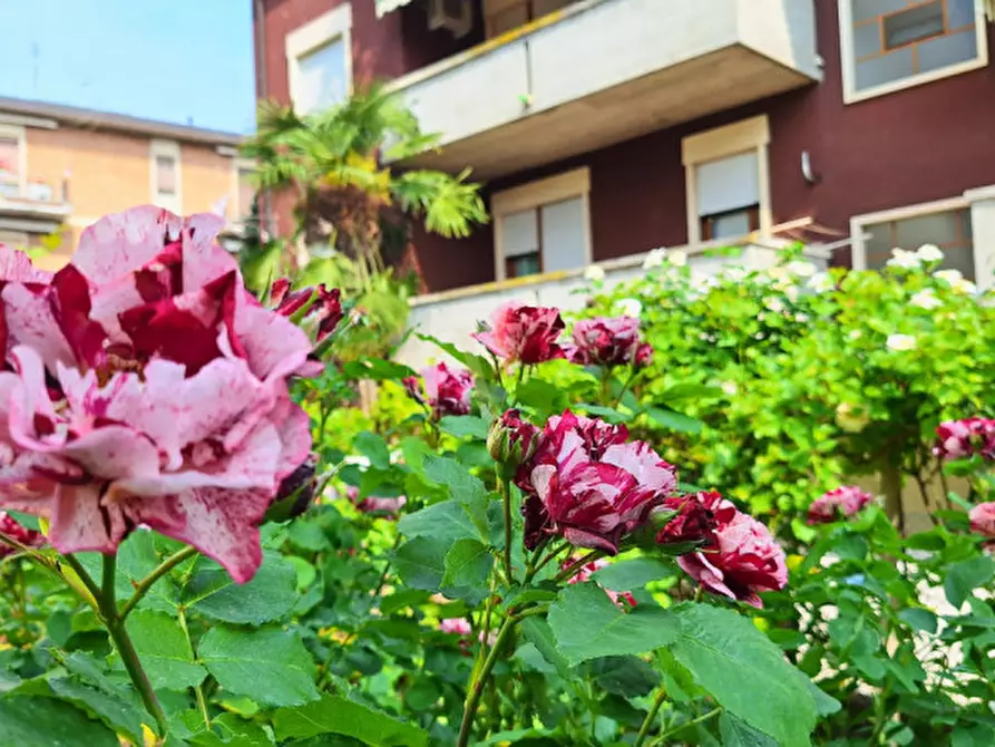 Immagine 12 di Casa indipendente in vendita  in Via Matteazzi a Vicenza