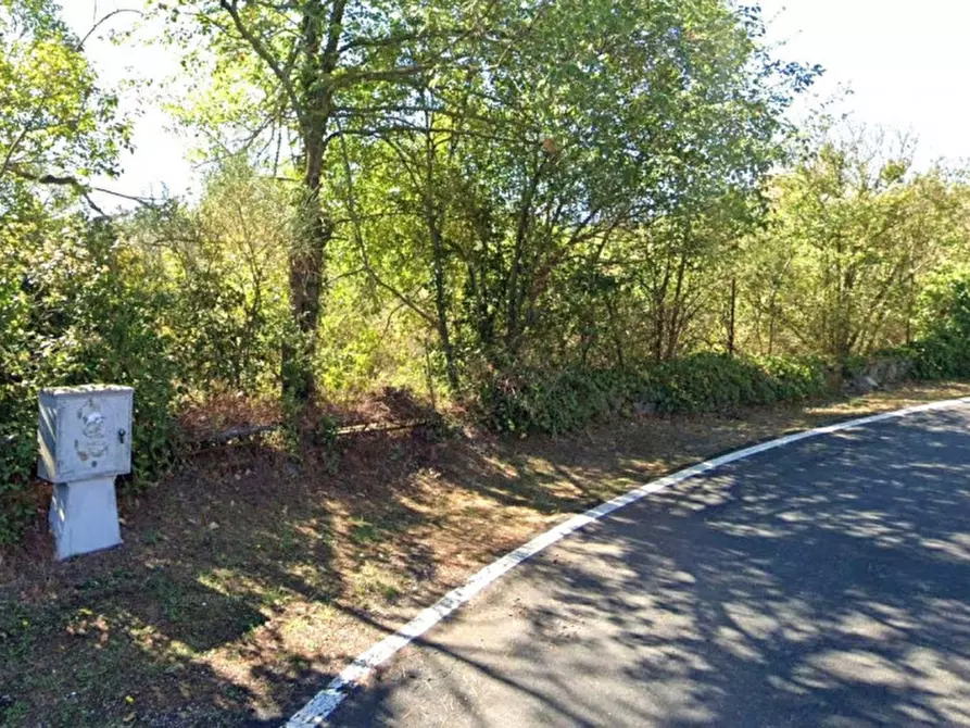 Immagine 2 di Terreno in vendita  in Via dei Pini, 01015 Fonte Vivola VT, Italia a Sutri