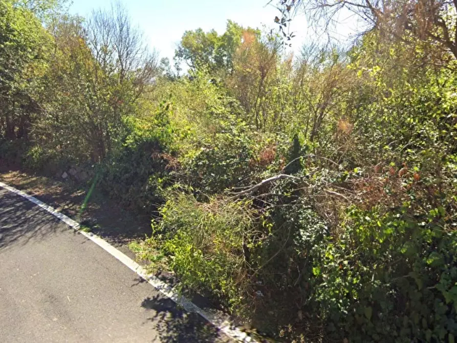 Immagine 3 di Terreno in vendita  in Via dei Pini, 01015 Fonte Vivola VT, Italia a Sutri
