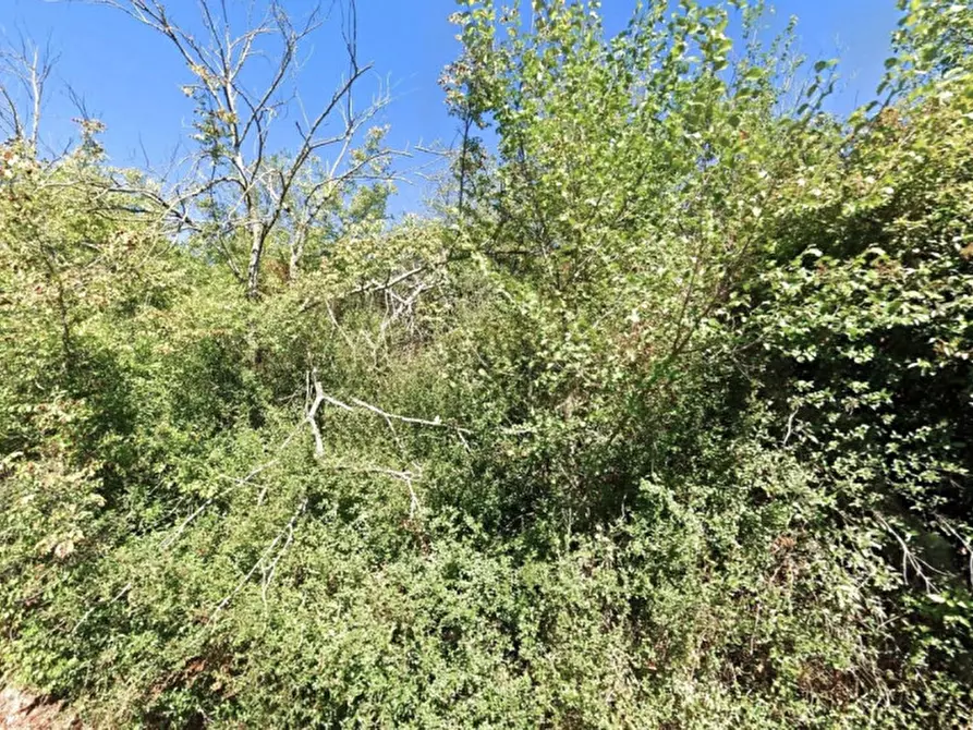 Immagine 4 di Terreno in vendita  in Via dei Pini, 01015 Fonte Vivola VT, Italia a Sutri
