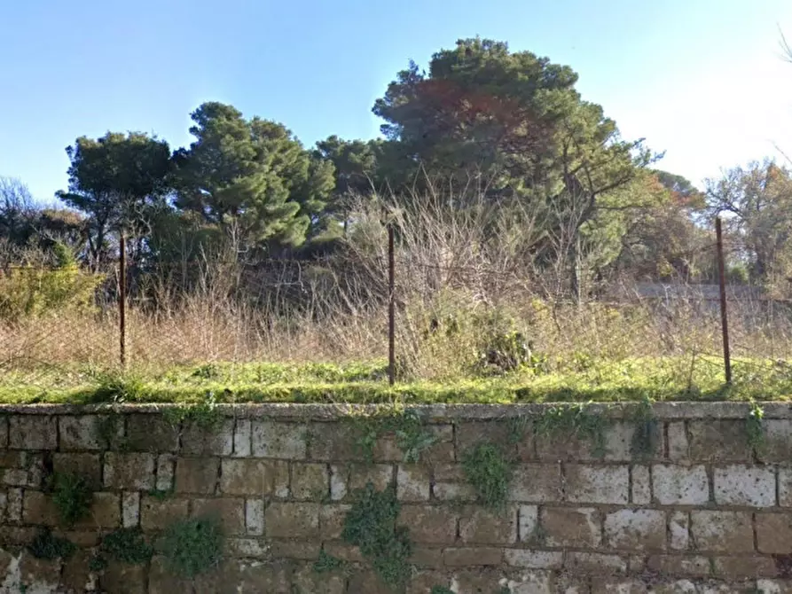 Immagine 1 di Terreno in vendita  in Via Colle Puoti, 81024 Maddaloni CE, Italia a Maddaloni