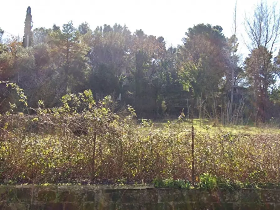 Immagine 2 di Terreno in vendita  in Via Colle Puoti, 81024 Maddaloni CE, Italia a Maddaloni