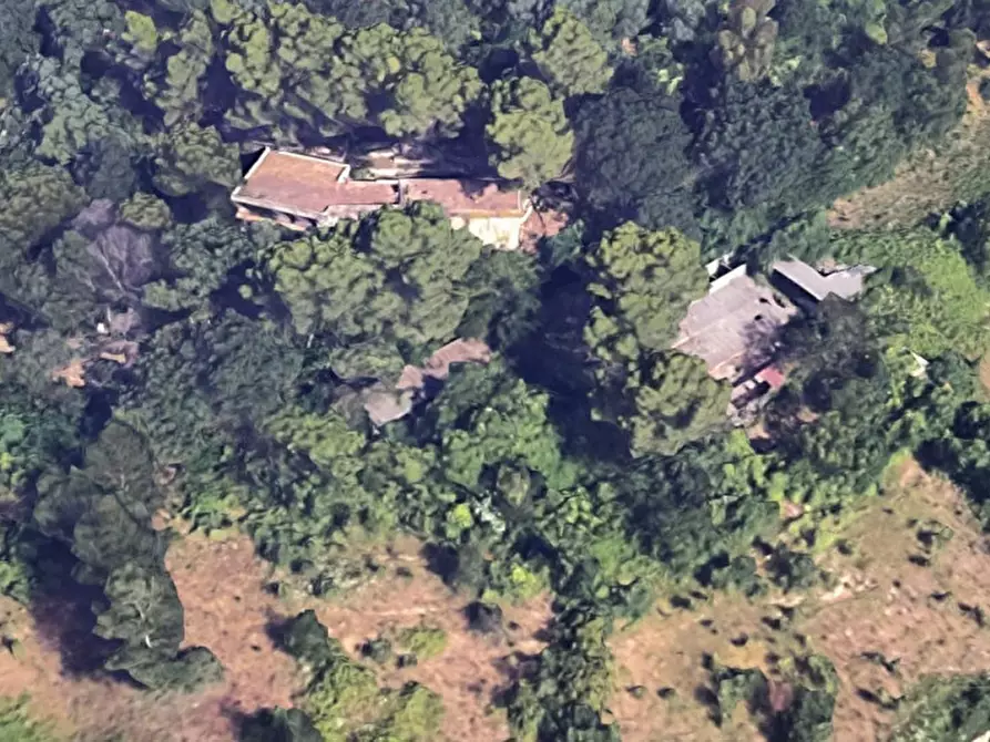Immagine 4 di Terreno in vendita  in Via Colle Puoti, 81024 Maddaloni CE, Italia a Maddaloni