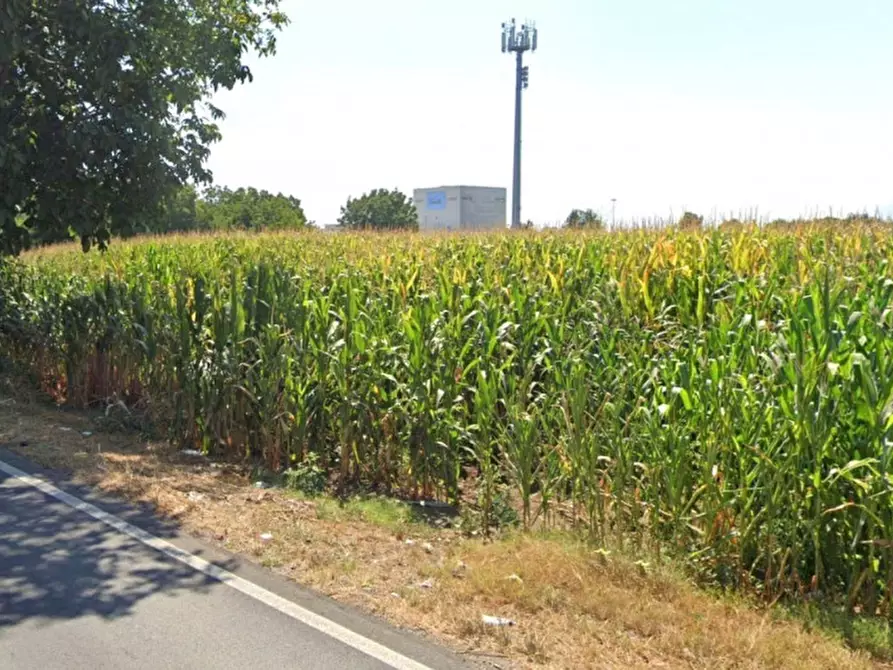 Immagine 3 di Terreno in vendita  in Via XXV Aprile, 81025 Marcianise CE, Italia a Marcianise