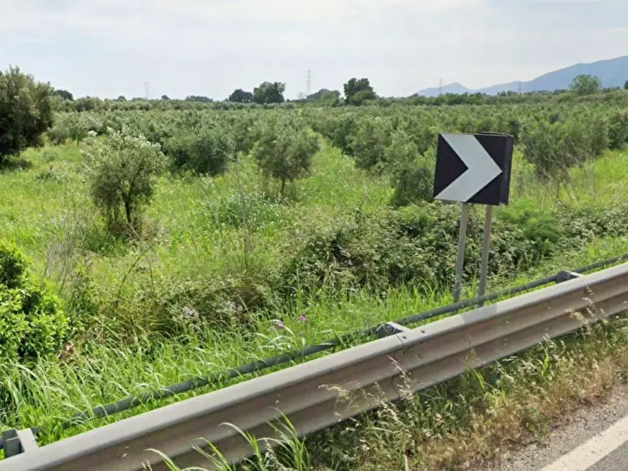 Immagine 2 di Terreno in vendita  in SS7, Francolise CE, Italia a Francolise