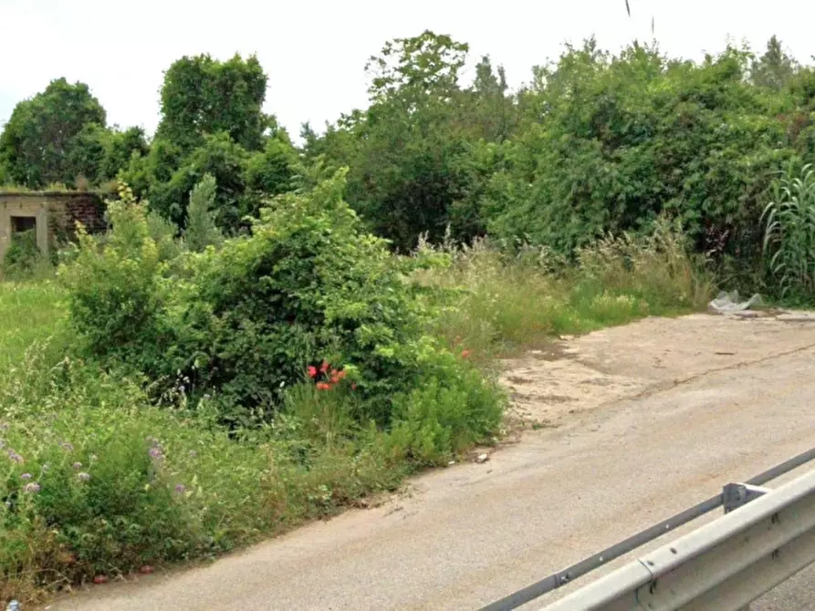 Immagine 4 di Terreno in vendita  in SS7, Francolise CE, Italia a Francolise