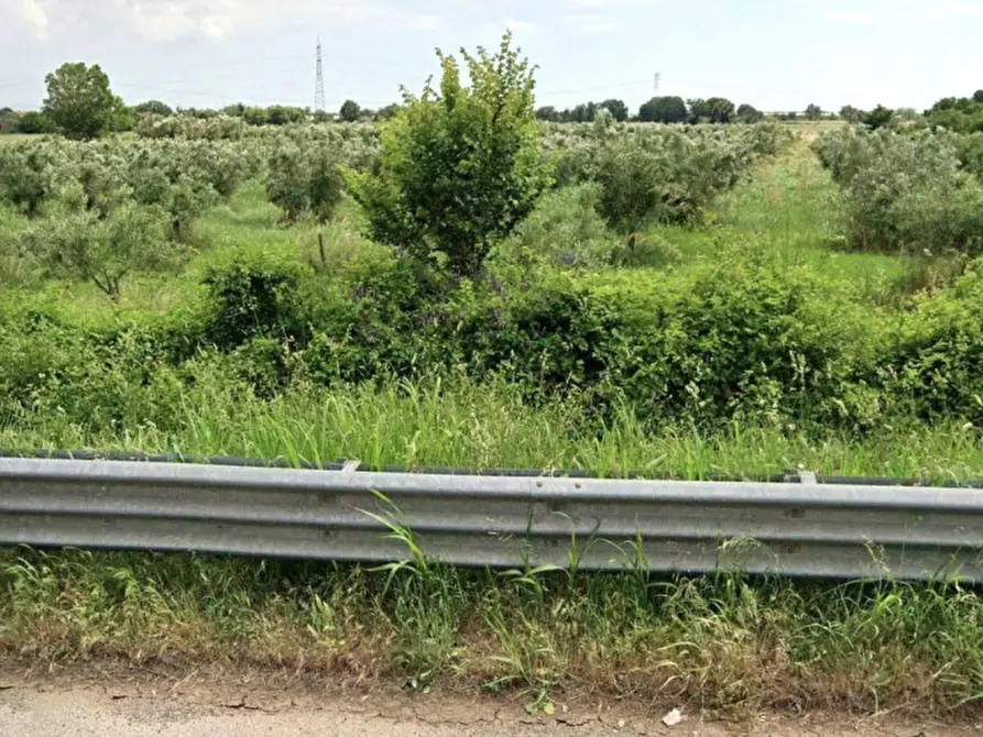 Immagine 5 di Terreno in vendita  in SS7, Francolise CE, Italia a Francolise
