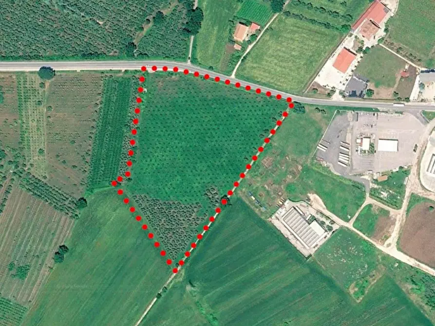 Immagine 6 di Terreno in vendita  in SS7, Francolise CE, Italia a Francolise