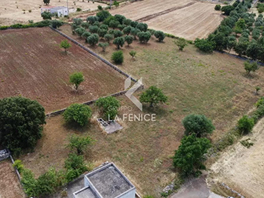 Immagine 24 di Rustico / casale in vendita  in strada pilozzo 39A a Martina Franca