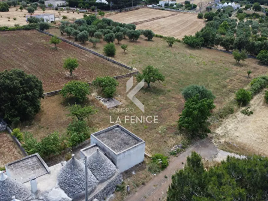 Immagine 26 di Rustico / casale in vendita  in strada pilozzo 39A a Martina Franca