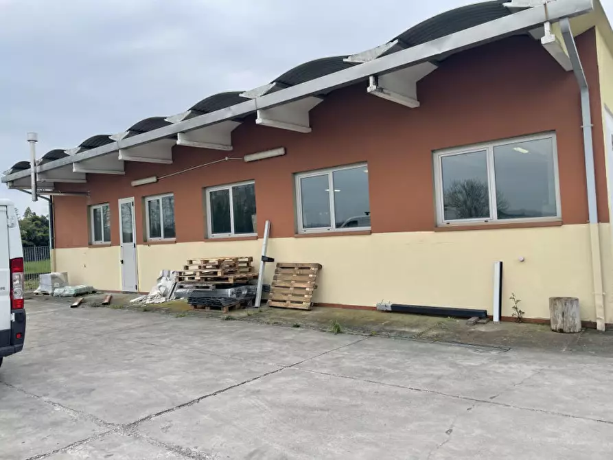 Immagine 3 di Capannone industriale in vendita  in via padana a Sant'angelo Di Piove Di Sacco