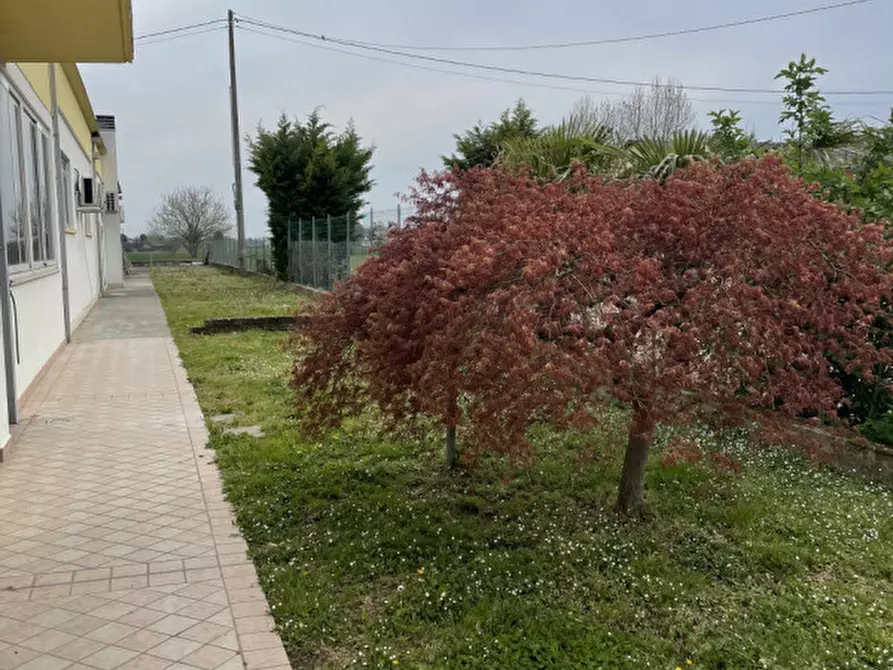 Immagine 10 di Capannone industriale in vendita  in via padana a Sant'angelo Di Piove Di Sacco