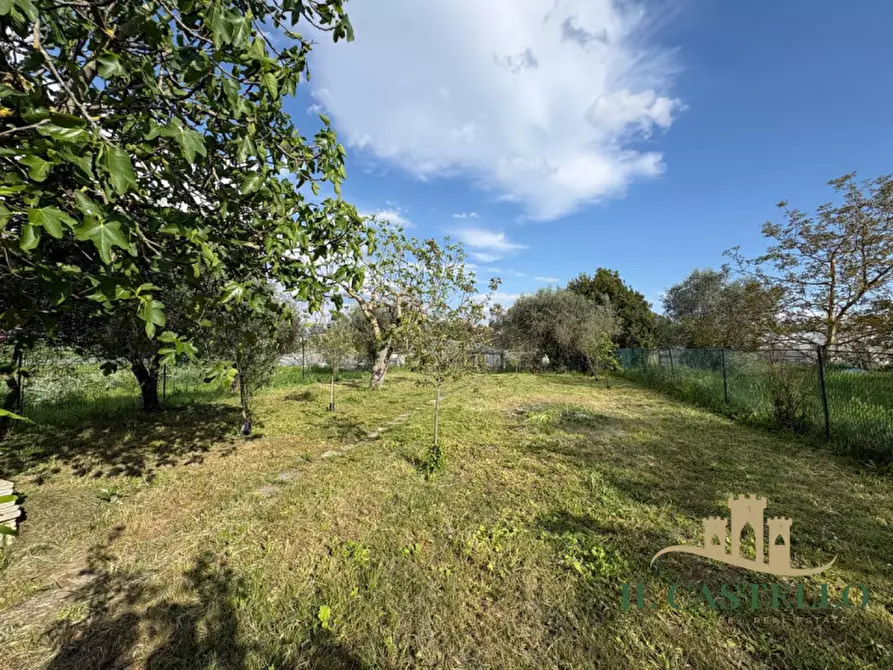 Immagine 29 di Casa indipendente in vendita  in Palazzetta a Castiglione Del Lago
