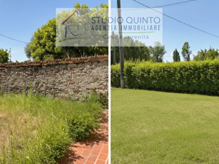 Immagine 3 di Rustico / casale in vendita  a Morgano