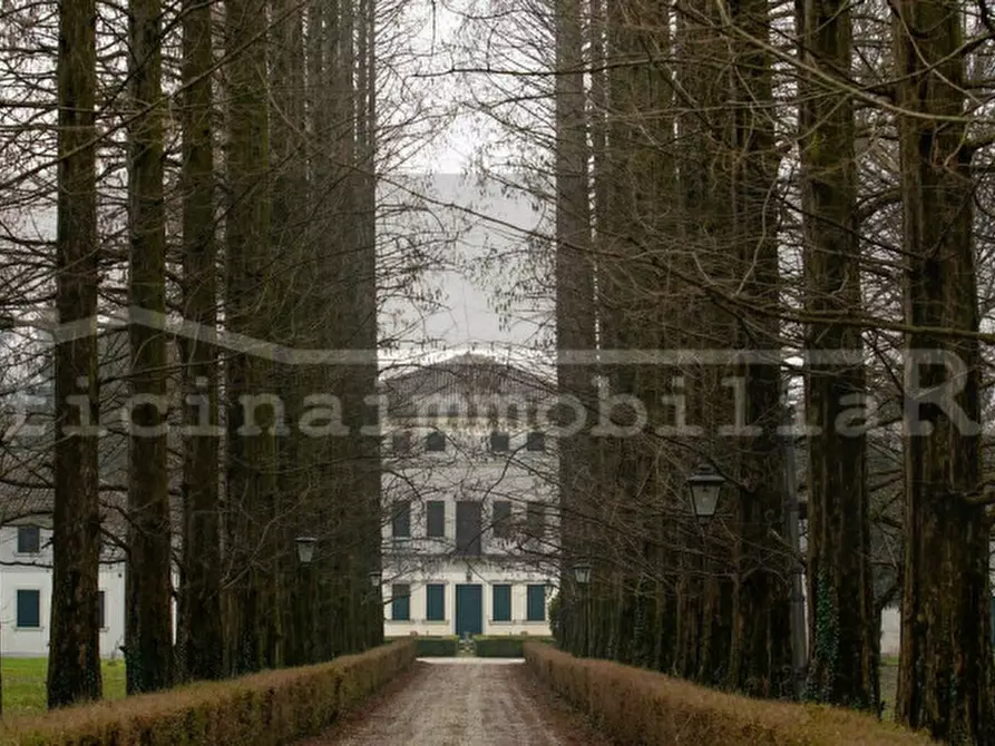 Immagine 5 di Terreno in vendita  a Fiesso D'artico