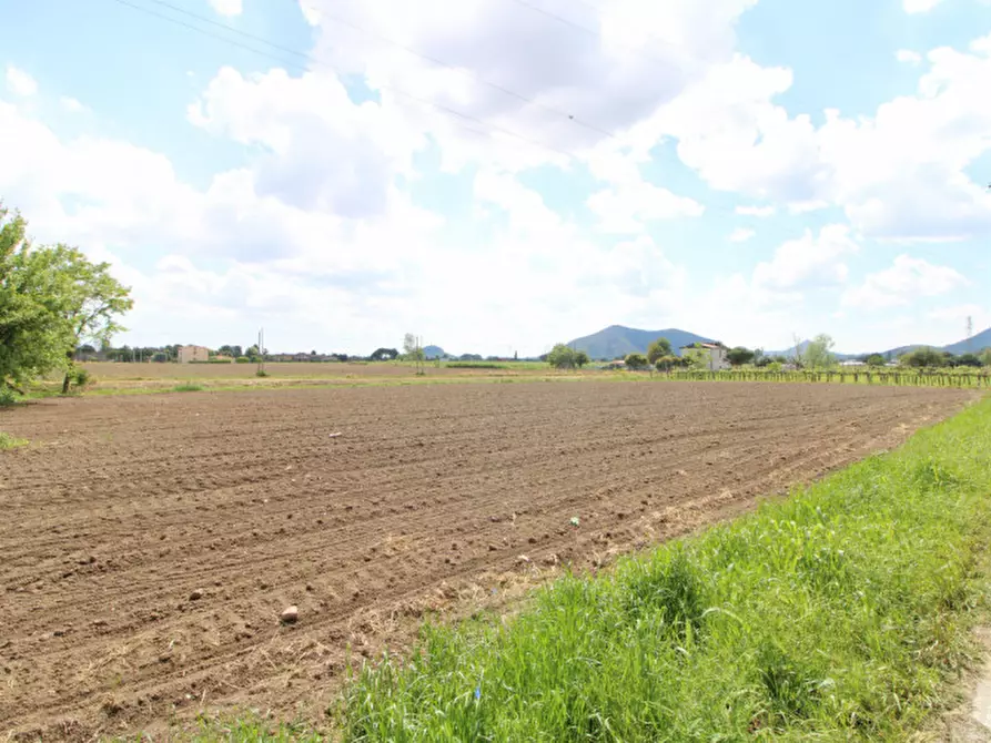 Immagine 1 di Terreno in vendita  a Pernumia
