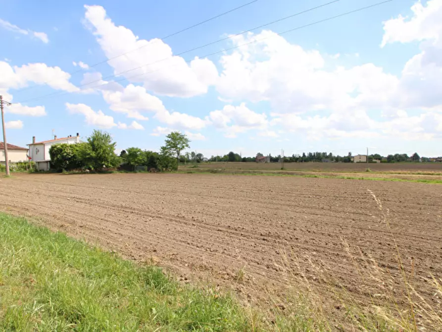 Immagine 3 di Terreno in vendita  a Pernumia
