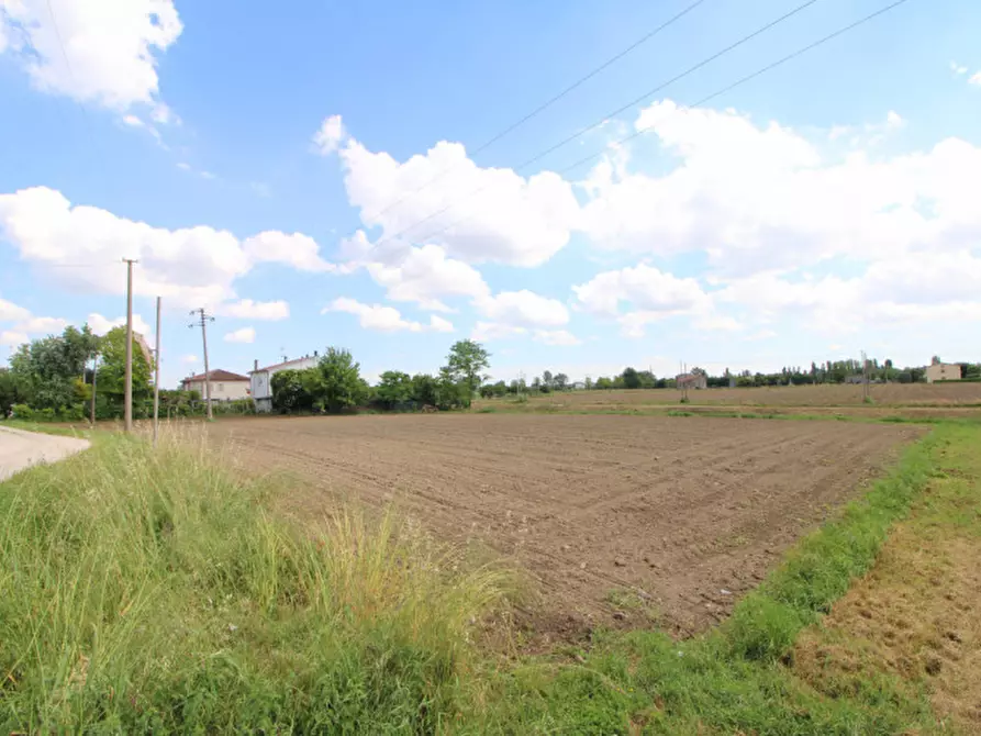 Immagine 4 di Terreno in vendita  a Pernumia