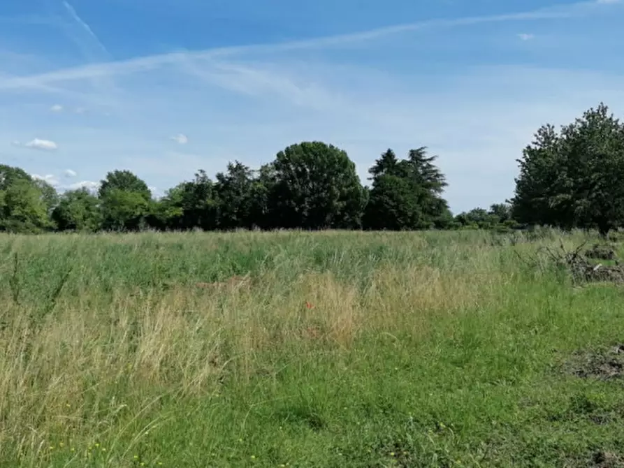 Immagine 1 di Terreno in vendita  in Via San Zanut a San Pier D'isonzo
