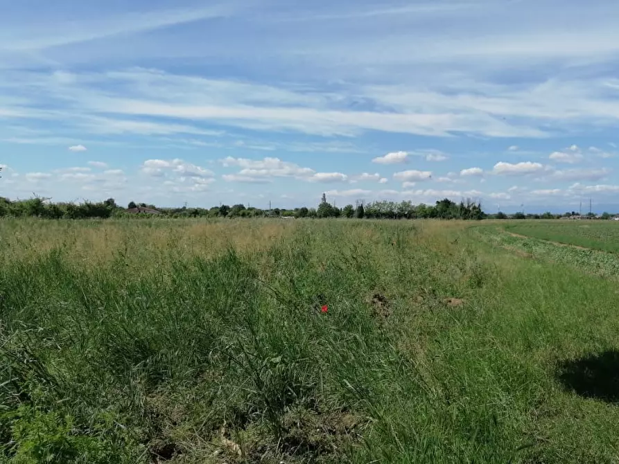 Immagine 4 di Terreno in vendita  in Via San Zanut a San Pier D'isonzo