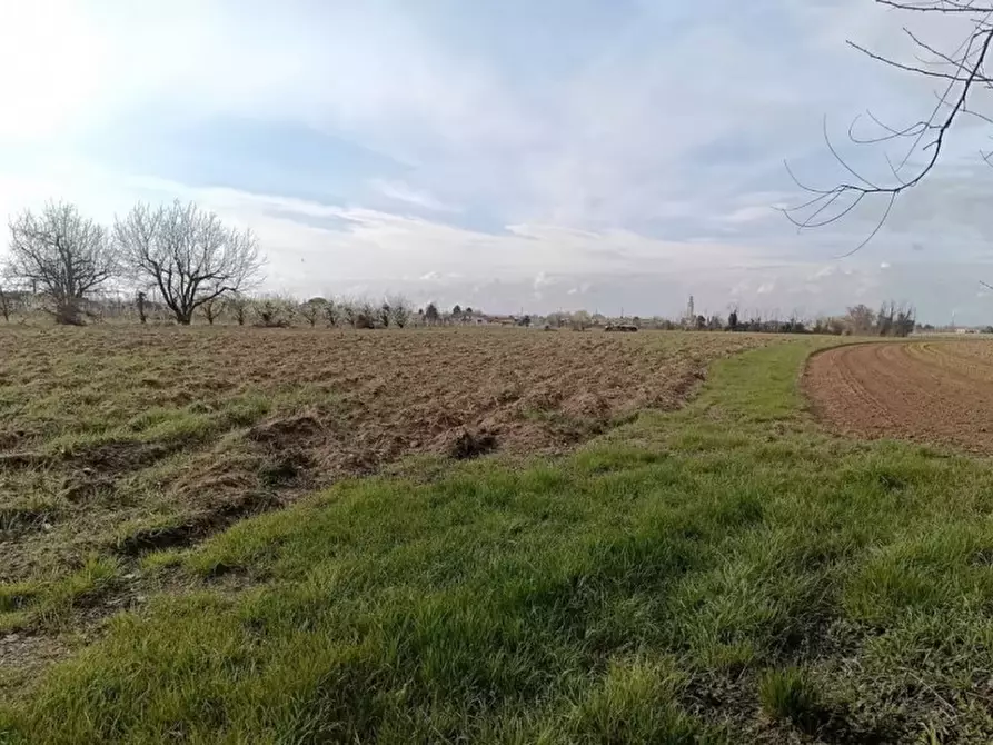 Immagine 5 di Terreno in vendita  in Via San Zanut a San Pier D'isonzo