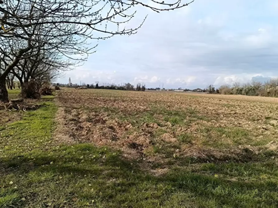 Immagine 7 di Terreno in vendita  in Via San Zanut a San Pier D'isonzo