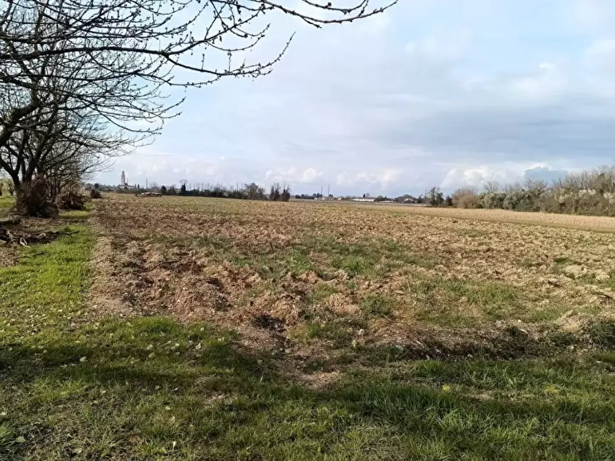 Immagine 8 di Terreno in vendita  in Via San Zanut a San Pier D'isonzo