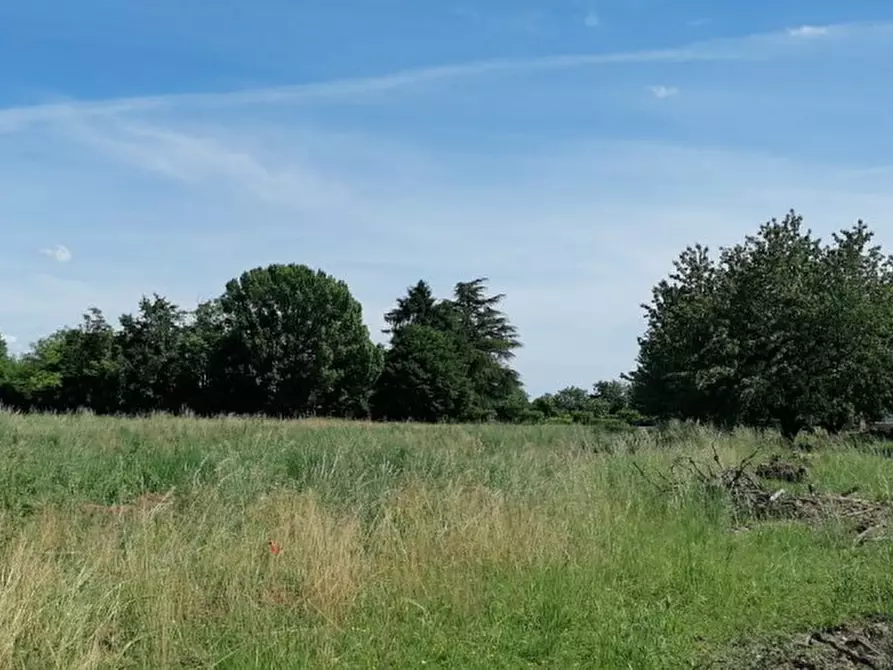 Immagine 9 di Terreno in vendita  in Via San Zanut a San Pier D'isonzo