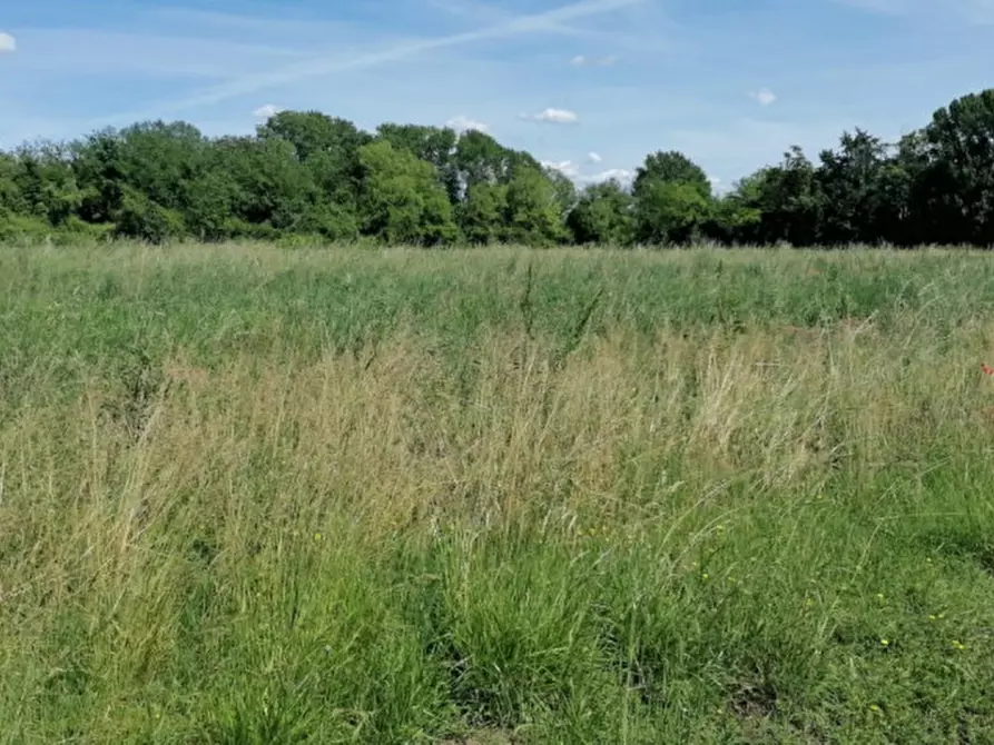 Immagine 10 di Terreno in vendita  in Via San Zanut a San Pier D'isonzo