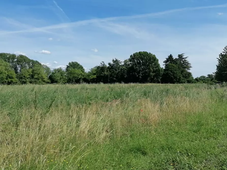 Immagine 11 di Terreno in vendita  in Via San Zanut a San Pier D'isonzo