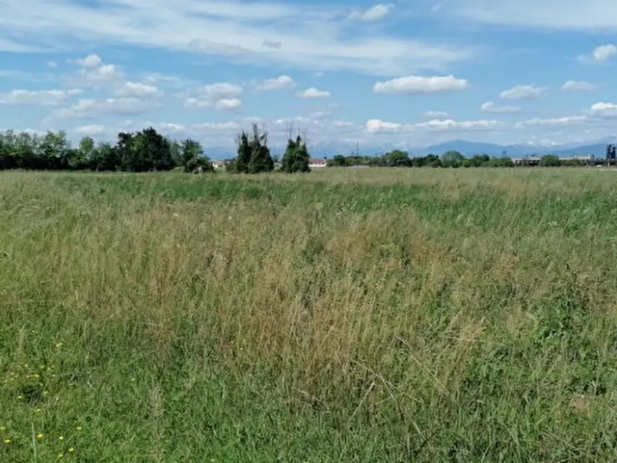 Immagine 13 di Terreno in vendita  in Via San Zanut a San Pier D'isonzo