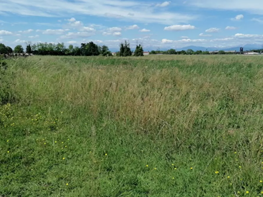 Immagine 14 di Terreno in vendita  in Via San Zanut a San Pier D'isonzo