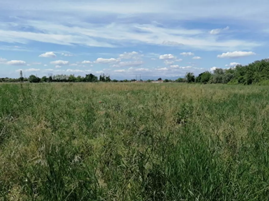 Immagine 15 di Terreno in vendita  in Via San Zanut a San Pier D'isonzo