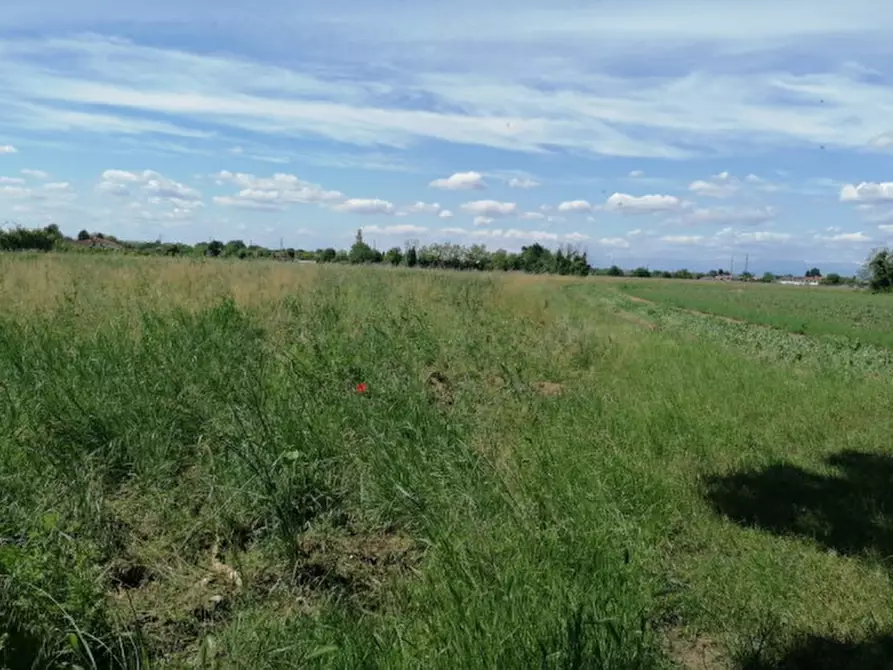 Immagine 18 di Terreno in vendita  in Via San Zanut a San Pier D'isonzo