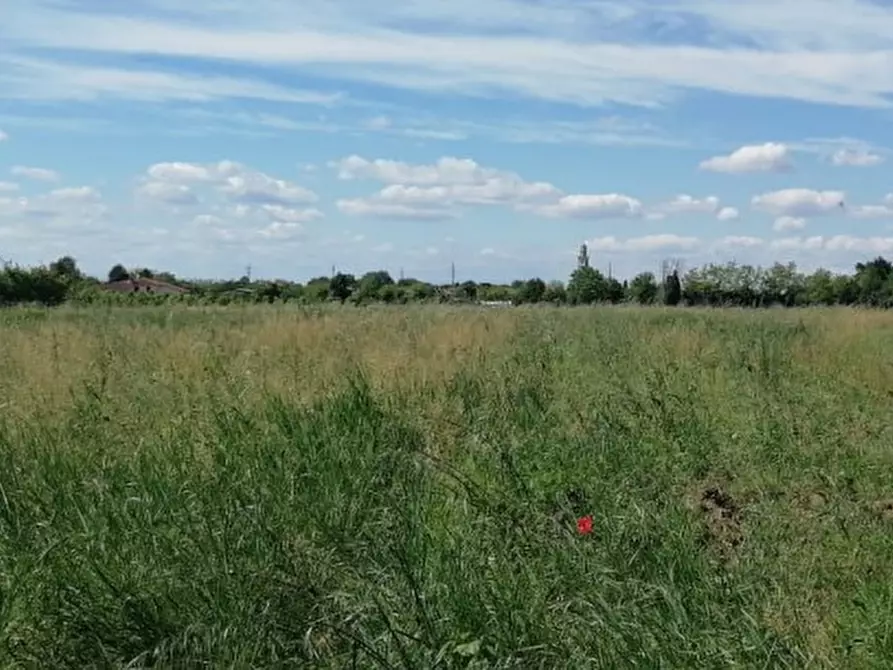 Immagine 20 di Terreno in vendita  in Via San Zanut a San Pier D'isonzo